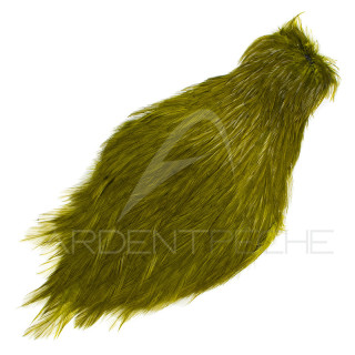 Cou de coq teinté ( rooster neck)