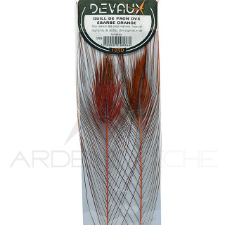 Stripped Peacock Quill DEVAUX