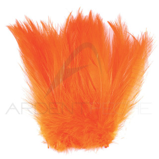 Grande hackle di gallo