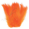 Grande hackle di gallo
