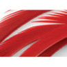 Oca biots quills