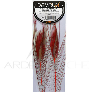 Quill di pavone sbarbati DEVAUX