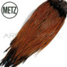 Gropponi di gallo METZ grade 2