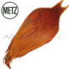 Colli di gallo METZ grade 2