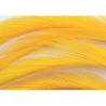 Oca biots quills