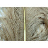 Ostrich herls on stem