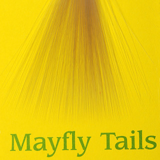Mayfly tails