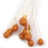 Occhi epoxy di granchio