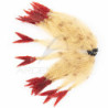 Chela granchio PUGLISI CRUSTACEOUS CLAW