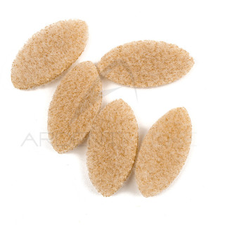 Crab Body EP FLEEING CRAB BODY Medium