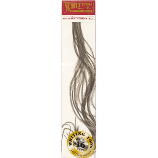 WHITING 100 Saddle Feathers