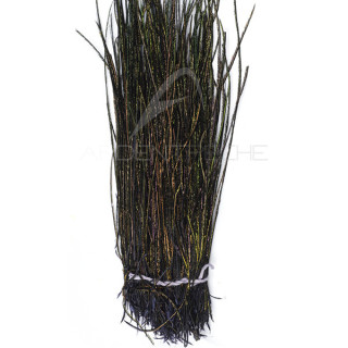 Peacock tail herls