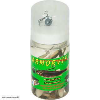 ARMORVIF Barattolo da 10 Vaironi + montatura 3g