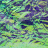 Foglia iridescente Flashback Foil