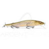 Minnow MEGABASS Great hunting 110