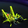 Mosca realistica Cavalletta gialla