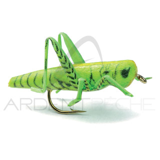 Mosca realistica Cavalletta verde