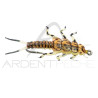 Mosca realistica Stonefly ninfa Oro