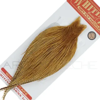Colli di gallo WHITING bronze Barred Dark Ginger