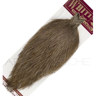 Collo pardo Whiting Grizzly dark pardo