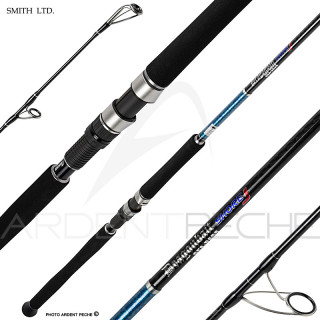 Canna spinning SMITH Dragonbait seabass shore jigging 102