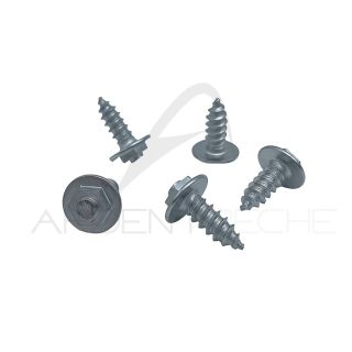 Chiodi DEVAUX Wading Stainless