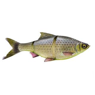 Esca morbida Savage Gear 3D LT Roach sinking