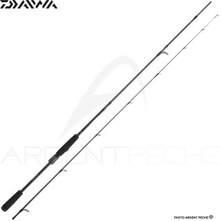 Canna spinning DAIWA Prorex AGS 24