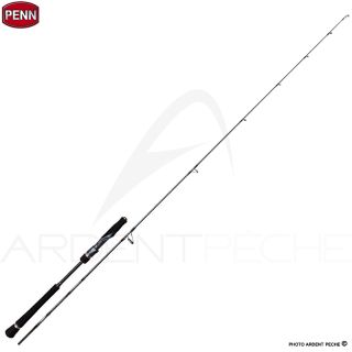 Canna spinning PENN Battalion solid light jigging