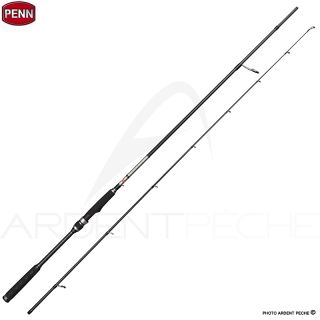 Canna spinning PENN Conflict X Inshore