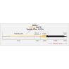 Coda RIO Avid 24ft Sink Tip