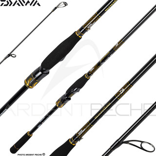 Spinning rod DAIWA Morethan branzino expert