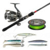 Combo premium tecniche di pesca della spigola dalla riva con Soft baits & artificiali rigidi - Ardent Pêche