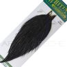 Collo di gallo Whiting HEBERT Pro Grade Nero