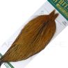 Collo di gallo Whiting HEBERT Pro Grade Rossiccio chiaro