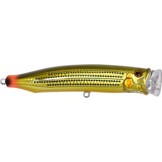 Pesciolino TACKLE HOUSE Feed popper 135