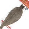Colli di gallo Whiting Silver grigio scuro