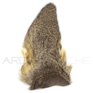 Orecchio di capriolo naturale XL