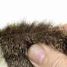 Orecchio di capriolo naturale XL