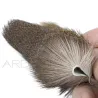 Capriolo su pelle