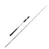 Canna casting Penn Prevail III Light jigging