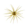 Soft bait HIDEUP Coike 17mm