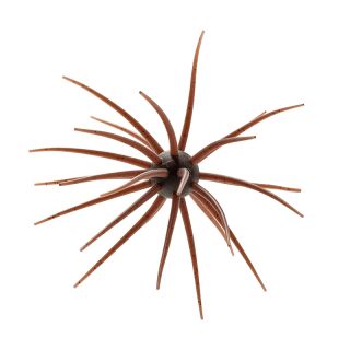 Esca morbida HIDEUP Coike 17mm
