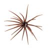 Esca morbida HIDEUP Coike 17mm