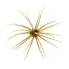 Soft bait HIDEUP Coike 17mm
