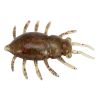 Esca morbida FISHUP Maybug 1.3