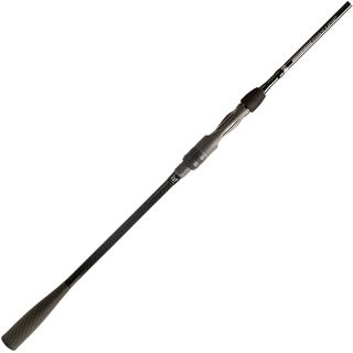 Canne spinning BFT Hydra slayer 8'