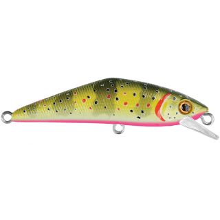 Pesce nuotatore SMITH D Contact 50