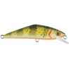 Poisson nageur SMITH D Contact 63