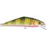Pesce nuotatore SMITH D Contact 63